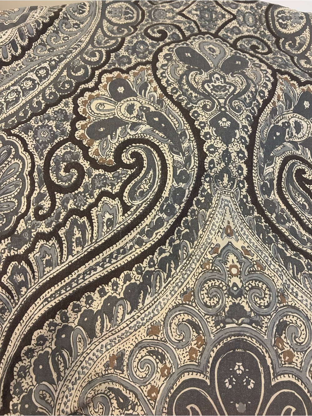 Pottery Barn Beale Paisley Collection Queen/Full 100% cotton duvet cover